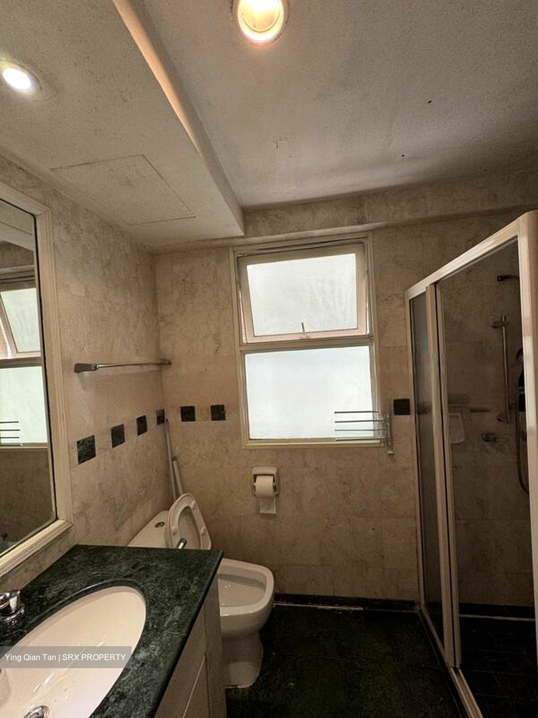 Evergreen Park (D19), Apartment #458521501